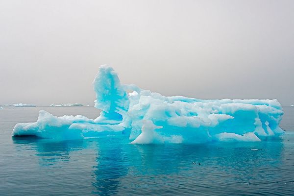 Su, Keren 아티스트의 Blue iceberg in the fjord of Narsarsuaq-Greenland작품입니다.